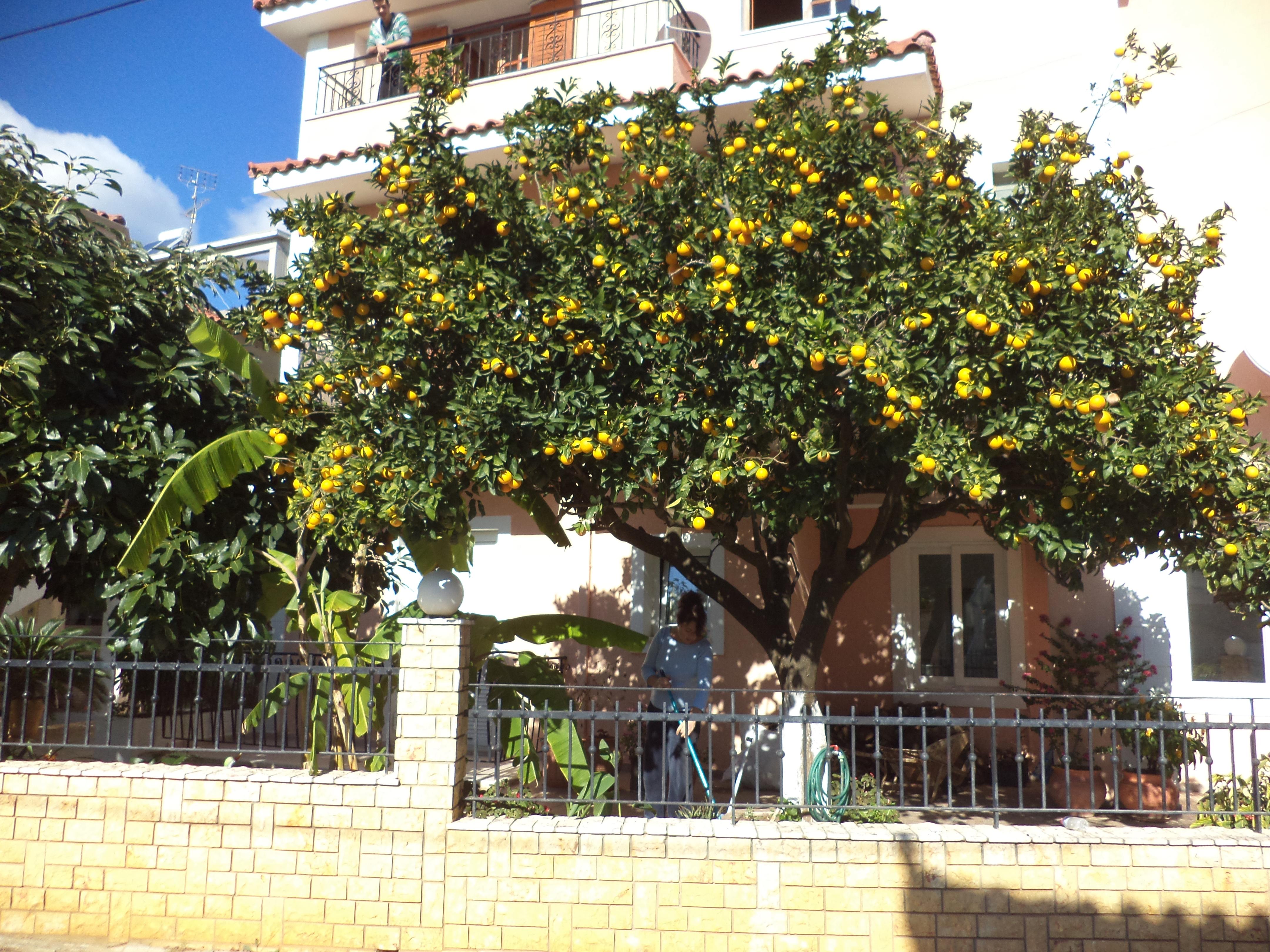 Dionysios Studios Skala  Bagian luar foto